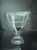 Crystal Trophy