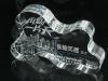 Crystal Trophy