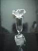 Crystal Trophy