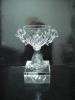 Crystal Trophy