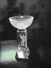Crystal Trophy